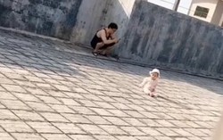 Bố bỉm sữa vô tư cho con phơi nắng trên sân thượng 