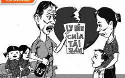 Nữ luật sư mất ăn mất ngủ sau mỗi vụ ly hôn
