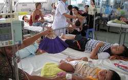  Chi trả BHYT cho hơn 93 ngàn bệnh nhân sốt xuất huyết