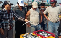 Đà Nẵng hỗ trợ 1,9 tỷ đồng cho ngư dân