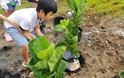 Trồng 30.000 cây xanh góp phần phủ xanh Việt Nam
