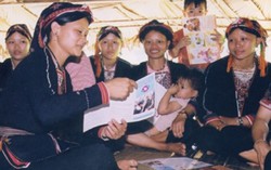 Bài vè văn bản