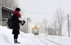 Người Việt muốn tin 'chuyến tàu Nhật' là có thật