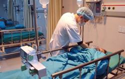Nữ sinh 14 tuổi bị khó thở, bất tỉnh do kiến đốt