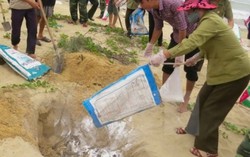 Hỗ trợ khẩn cấp vùng ảnh hưởng bởi ‘cá chết ở miền Trung’