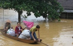 Có sai sót trong vận hành thủy điện Hố Hô gây lũ lụt