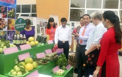 Hội LHPN Thái Nguyên vinh danh 10 ý tưởng khởi nghiệp