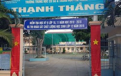14 sai phạm của nữ hiệu trưởng phát tán 'ảnh nóng' của hiệu phó