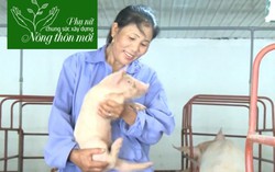 Mô hình trang trại khép kín, phát triển kinh tế địa phương
