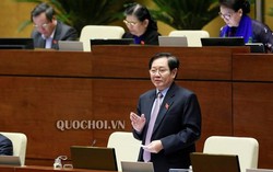 Phiền hà vì yêu cầu nhiều văn bằng, chứng chỉ thi nâng ngạch công chức