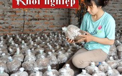 Thu nhập 20 triệu đồng mỗi tháng từ trồng nấm rơm