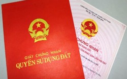 Thủ tục và lệ phí chuyển nhượng quyền sử dụng đất như thế nào?