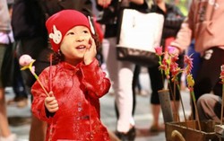 Cả nước rộn ràng chào đón năm mới Đinh Dậu