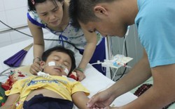 36.000 ca mắc sốt xuất huyết trong 5 tháng