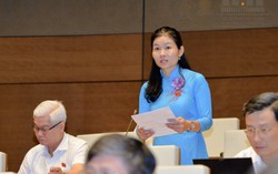 Nhiều quy định bó buộc doanh nghiệp, HTX tiếp cận vốn ưu đãi