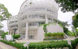 Nhà Thiếu nhi TPHCM buộc thôi việc một thầy giáo 'sờ đùi, vuốt má' nữ sinh lớp 7