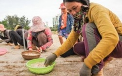 Agribank Lý Sơn - 10 năm góp phần thay đổi hòn đảo tiền tiêu Tổ quốc