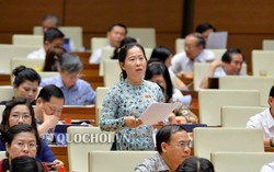 Hai khó khăn thách thức lớn khi Việt Nam gia nhập Công ước số 98