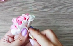 Hướng dẫn làm hoa bằng khăn giấy