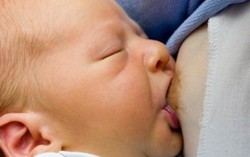 Móng giò 'không lợi sữa'