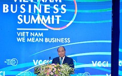 ‘Mỏ vàng’ nông nghiệp Việt Nam đang đợi nhà đầu tư khai thác