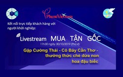 Livestream ‘Mua tận gốc’ số 2: Gặp Cường Thái, thưởng thức chè Dừa non hoa đậu biếc