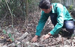 Thông tin thêm về vụ việc phát hiện hơn 300 xác thai nhi ở Cà Mau