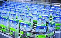 Đua xuất ngoại sữa Việt