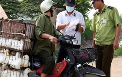 Ban hành quy định kiểm dịch y tế đối với nhiều hàng hóa