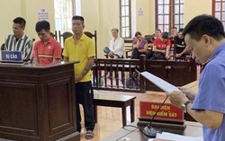 92 tháng tù cho nhóm côn đồ hàng hung nữ nhân viên hàng không