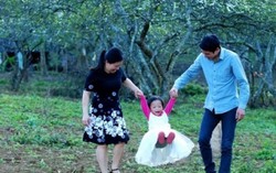 Cung đường đầy hoa Xuân