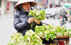 Điểm nghẽn phát triển đối tượng tham gia BHXH tự nguyện