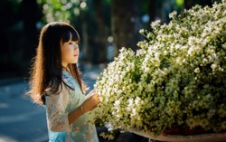 Miền Bắc đang ấm dần, kéo dài đến hết tháng 11