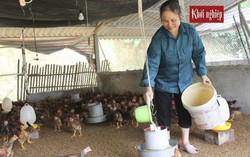 Vĩnh Phúc đồng hành cùng phụ nữ khởi nghiệp