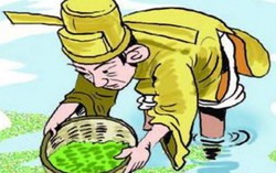 Hai bài học để đời của mẹ tể tướng thanh liêm thời Lê-Trịnh