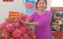 Mang thanh long ruột đỏ 'đi đánh' xứ người