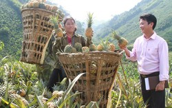 Tiếp thêm động lực cho đồng bào vùng cao Lào Cai làm giàu