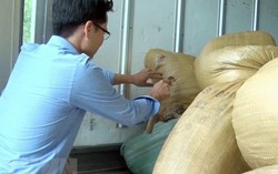 Hưng Yên: Bắt giữ và tiêu hủy hơn 2 tấn nội tạng lợn hôi thối