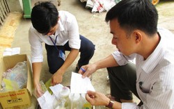 Cá nhân sử dụng chất cấm trong chăn nuôi bị phạt đến 80 triệu đồng