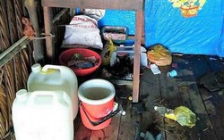 Chém chết bà nội vì... bị kêu vào nhà ngủ