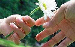 Món nợ một ly sữa