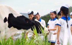 Hành trình 40 năm Giấc Mơ Sữa Việt