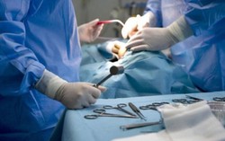 Âm đạo nhân tạo từ… ruột lợn