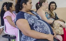 Virus Zika có thể sinh sôi trong não của thai nhi và nhau thai