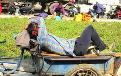 Muôn cảnh phụ nữ nhọc nhằn kiếm sống nơi vùng biên