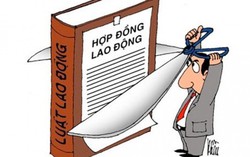 Đơn phương chấm dứt hợp đồng làm việc đối với viên chức