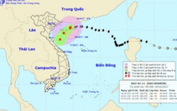 Bão số 11 suy yếu thành áp thấp nhiệt đới có thể gây mưa rất lớn