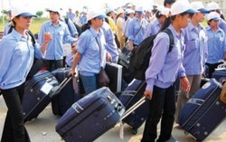 Mở 'hạn ngạch' 3.500 lao động làm việc tại Hàn Quốc