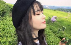 Trương Quỳnh Anh xinh như 'sao' Hàn bên đồi chè 