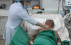 Suýt chết vì ăn thử cá nóc dù được cảnh báo nguy hiểm